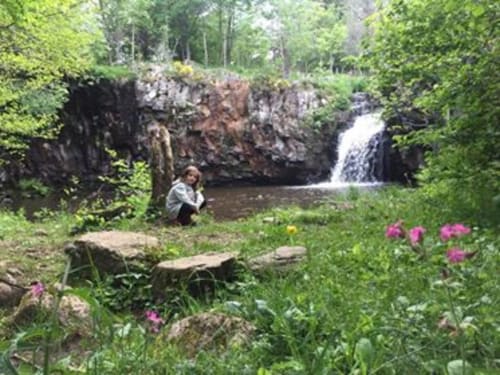 Cascade et fleurs roses aux Pays Des Sucs, gîte à Saint-Hostien, France