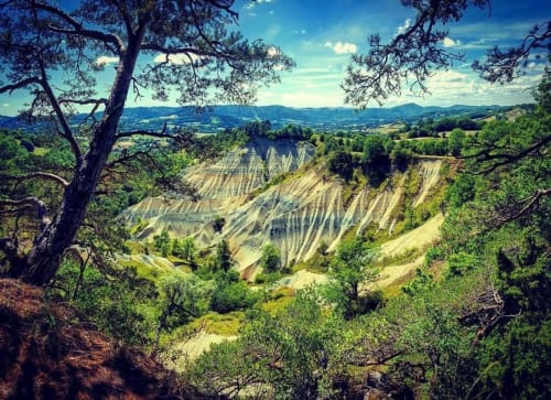 Collines ondulantes et vignobles en terrasses près d'Aux Pays Des Sucs, Saint-Hostien, encadrés par des arbres anciens
