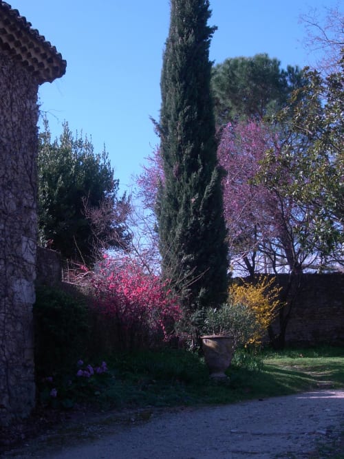 Cottage garden pathway at Domaine de Lamartine with blooming trees and cypress in Pont-Saint-Esprit