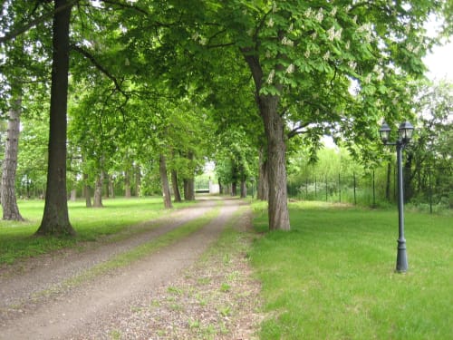 Allée de gravier bordée d'arbres au Domaine de La Serita à Jozé, France, avec pelouses verdoyantes et lampadaire vintage