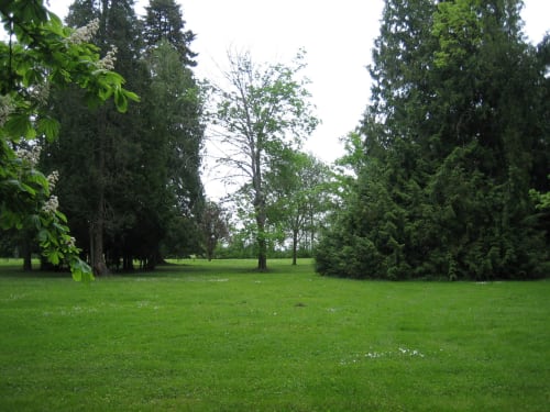 Vaste pelouse verdoyante bordée de grands arbres au Domaine de La Serita, un gîte français à Joze