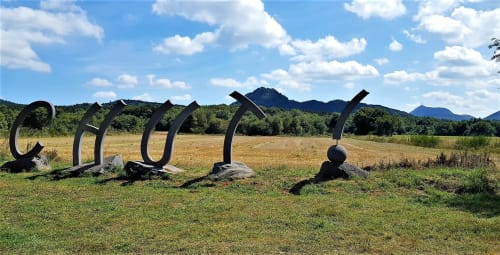 Sculptures métalliques modernes dans un champ au Domaine de La Serita, une maison d'hôtes française à Jozé avec les montagnes en