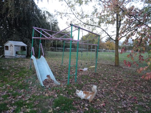 Aire de jeux extérieure de la Ferme Passion B&B avec balançoire, toboggan et petite maison de jeux entourés de feuillages d'automne