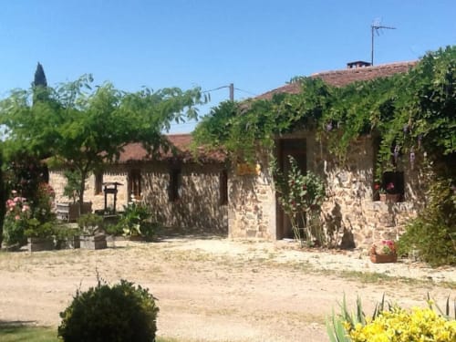 Chaumière en pierre rustique à La Raymondiere avec murs couverts de vignes et cour fleurie à Vernoux-en-Gâtine