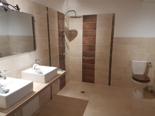 Salle de bain moderne avec doubles vasques, douche à l'italienne et carrelage marron à la Ferme Passion BnB à Saint-Trivier-sur-Moignans