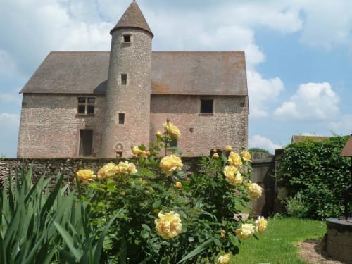 Rosas amarillas florecidas en el jardín del Château De Clusors, una encantadora torre de piedra y mansión en Saint-Menoux, Francia
