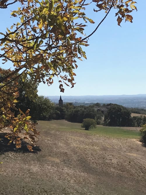 Vue automnale de la campagne depuis la chambre d'hôtes Le Pignié à Lescure-d'Albigeois avec clocher et champs ondulants