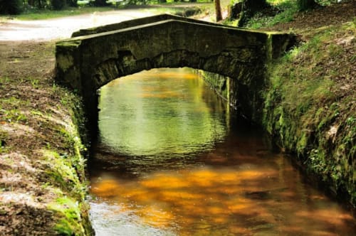 Pont de pierre couvert de mousse enjambant une rivière près de la maison d'hôtes L'affable aux Cammazes, France