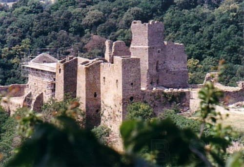Ruines du château médiéval nichées dans un paysage forestier à L'affable B&B, Les Cammazes, France
