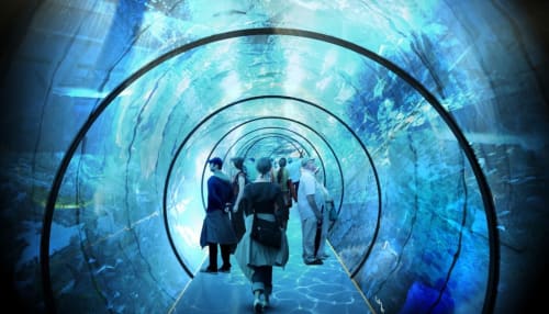 Visiteurs traversant le tunnel sous-marin de l'aquarium près de La Ferme Du Grand Air à Fiennes, France