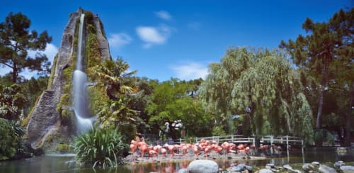 Cascade tropicale avec flamants roses au jardin de L'escale Marine B&B à La Rochelle