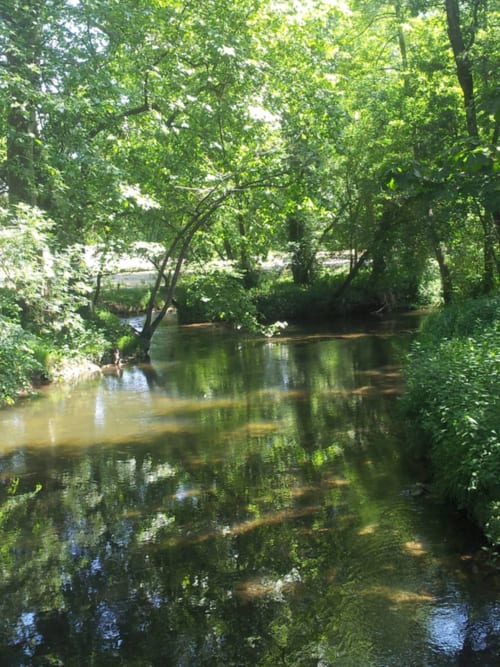 Rivière tranquille serpentant à travers des arbres verdoyants au Domaine De Puyrousse, gîte en campagne française