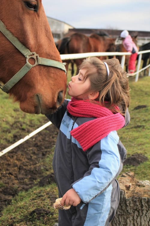 Jeune fille au foulard rouge caressant un cheval brun à la ferme Domaine De Puyrousse à Villetoureix, France