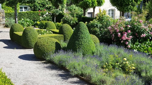 Formele tuin bij Moulin Renaudiots met topiary, lavendelborders en roze rozen in Autun