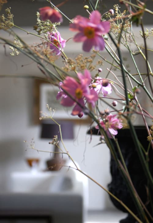 Delicate roze cosmosbloemenen met uitgedroogde stengels op de voorgrond, wazig hôtelinterieur op de achtergrond bij Moulin Renaudiots, Autun