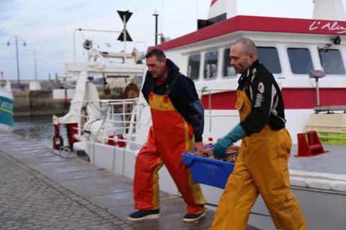 Pêcheurs en tenue de protection déchargeant la prise fraîche au port de Port-en-Bessin, près des Filles du Bord de Mer