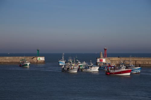 Bateaux de pêche amarrés au port de Port-en-Bessin à l'aube avec feux de balise rouges et verts