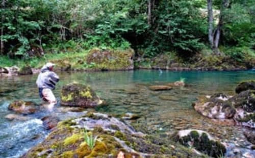 Pêcheur dans un ruisseau turquoise entouré de roches couvertes de mousse et de forêt luxuriante près du Château de Baylac, Bugnein