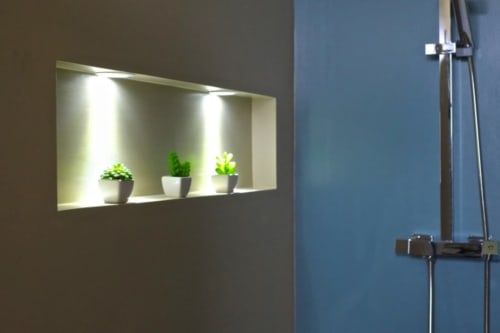 Niche moderne de salle de bain avec plantes grasses en pots et pomme de douche effet pluie au Château de Baylac
