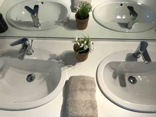 Double bathroom sinks with chrome faucets and potted plants at Manoir De Rieuzal B&B in Loubressac
