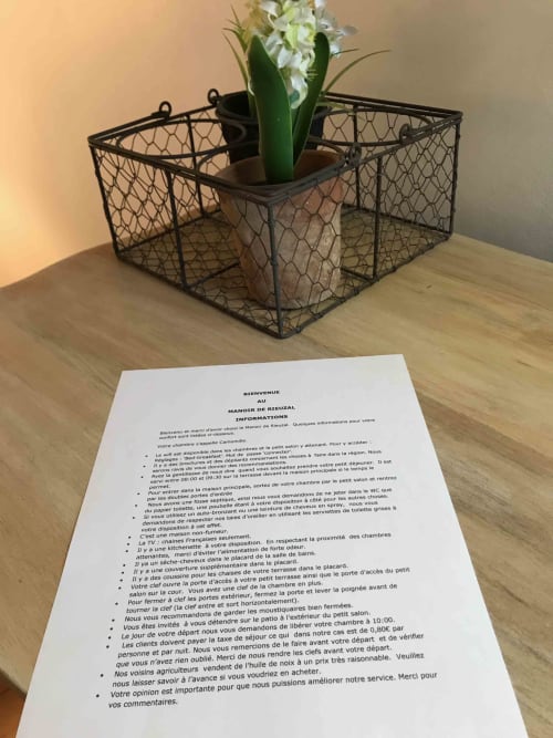 Potted white hyacinth in wire basket at Manoir De Rieuzal B&B, Loubressac, with welcome information card below