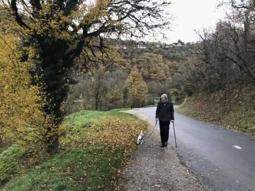 Elderly woman with walking poles strolling with small dog on tree-lined path near Manoir De Rieuzal in Loubressac, France