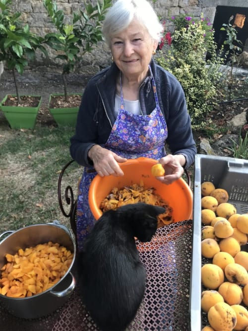 Woman at Manoir De Rieuzal B&B in Loubressac grating fresh apples with black dog nearby