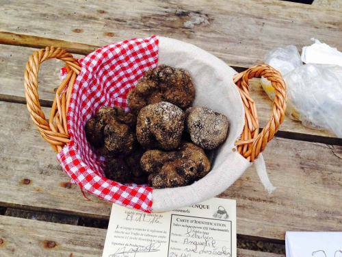 Fresh truffles in basket with red checkered cloth at Manoir De Rieuzal, Loubressac, France