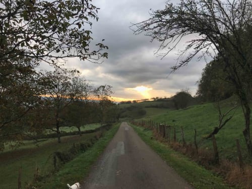 Rural lane at Manoir De Rieuzal in Loubressac, France, with sunset sky and green fields