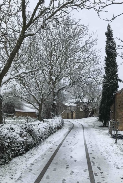 Snow-covered driveway at Manoir De Rieuzal in Loubressac with bare trees and stone buildings