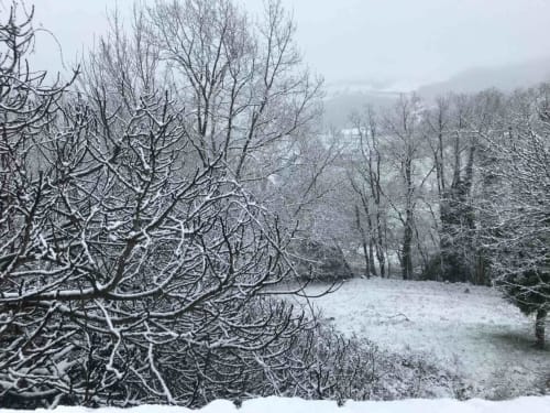Snow-covered forest landscape at Manoir De Rieuzal, Loubressac, France, with frosted trees and winter scenery
