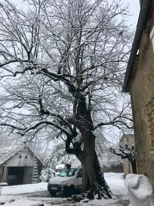 Snow-covered countryside at Manoir De Rieuzal in Loubressac, France, with bare tree and parked car