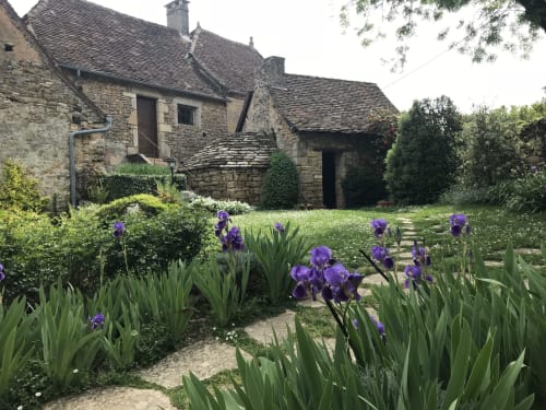 Purple irises bloom in the garden courtyard of Manoir de Rieuzal, a French stone manor house in Loubressac