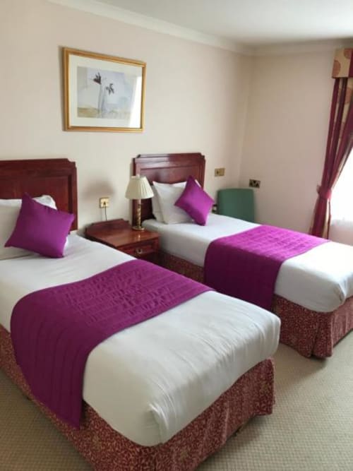 Classic Twin Room at La Trelade Hotel with two beds, purple accents, bedside lamp, and cream carpeting