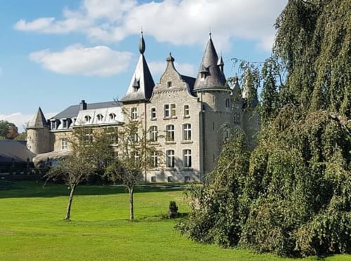 Kasteel Hassonville, stenen kasteel met torens omgeven door groene gazons en klimop in Marche-en-Famenne, België