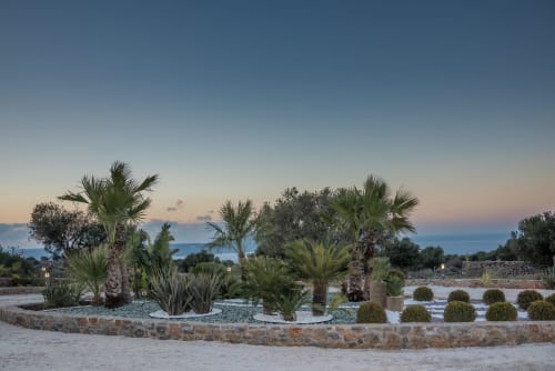 Villa Freedom's landscaped Mediterranean garden at dusk with palm trees and stone features in Crete