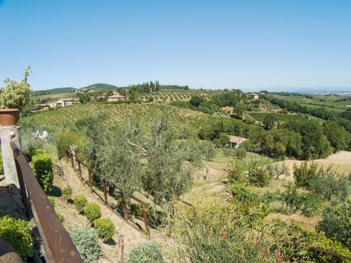 Paesaggio di uliveti e vigneti toscani vicino al B&B I Coppi a San Gimignano, Italia