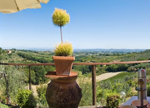 Vista del paesaggio toscano dal balcone del B&B I Coppi a San Gimignano con pianta toparia e colline ondulate