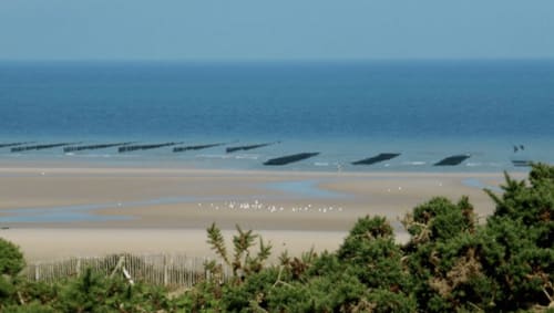 Vue côtière de la plage d'Autingues avec parcs à huîtres, végétation verdoyante et mer azurée depuis Au Petit Tambour D'Autingues