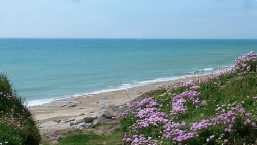 Des fleurs violettes surplombent la plage de sable et la mer turquoise d'Au Petit Tambour D'Autingues, Autingues, France