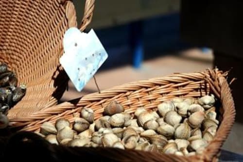 Panier en osier avec coquillages et papillon blanc aux Gîtes Les Rainettes, Vienne-en-Bessin