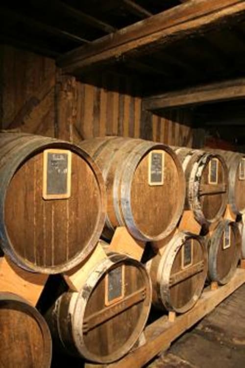 Tonneaux de vin dans la cave du Gîtes Les Rainettes, maison d'hôtes à Vienne-en-Bessin, France
