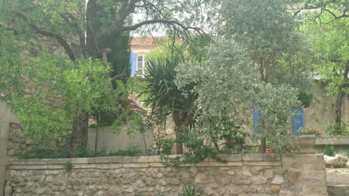 Stone courtyard with lush greenery and olive trees at Mas des Artistes, a bed and breakfast in Mouriès, France