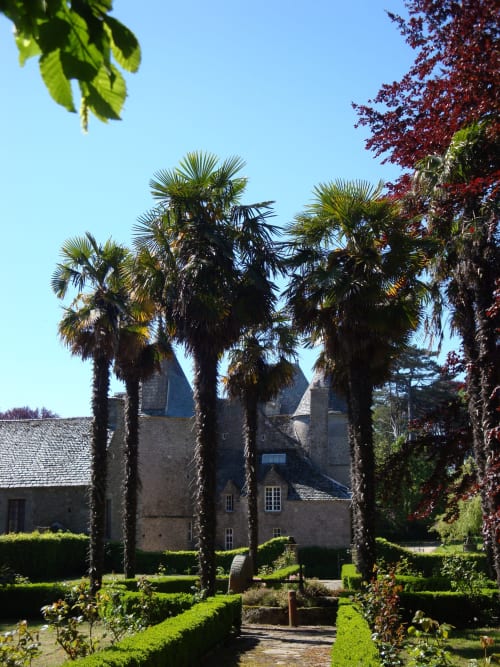 Château d'Alexis de Tocqueville in Normandy with palm trees, manicured gardens, and blue-roofed stone towers under clear sky.