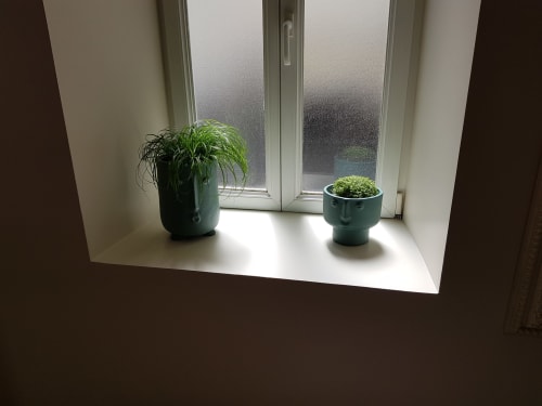 Two potted plants on a bright windowsill at Hotel Au Bon Coin, Biarritz