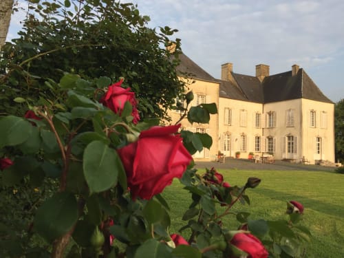 Red roses bloom in the garden of Chateau d'Asnieres en Bessin, a charming French bed and breakfast