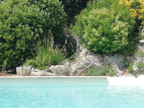 Turquoise pool at Mas des Artistes B&B in Mouriès, France, with lush green vegetation and stone terracing