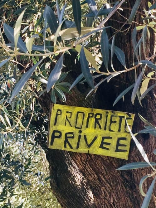 Yellow 'Propriété Privée' sign on olive tree at Saint Martin B&B in Ollioules, France