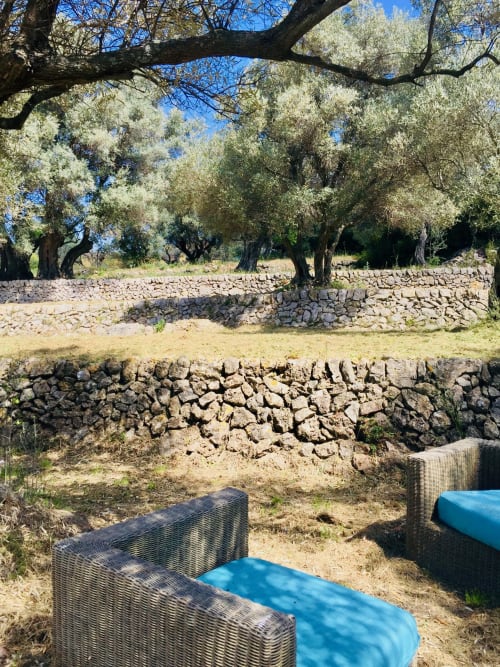 Olive grove seating area at Saint Martin B&B in Ollioules, France with stone walls and woven chairs