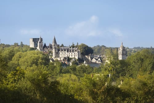Château niché dans une forêt verdoyante, gîtes des châteaux de Vallières-les-Grandes, France